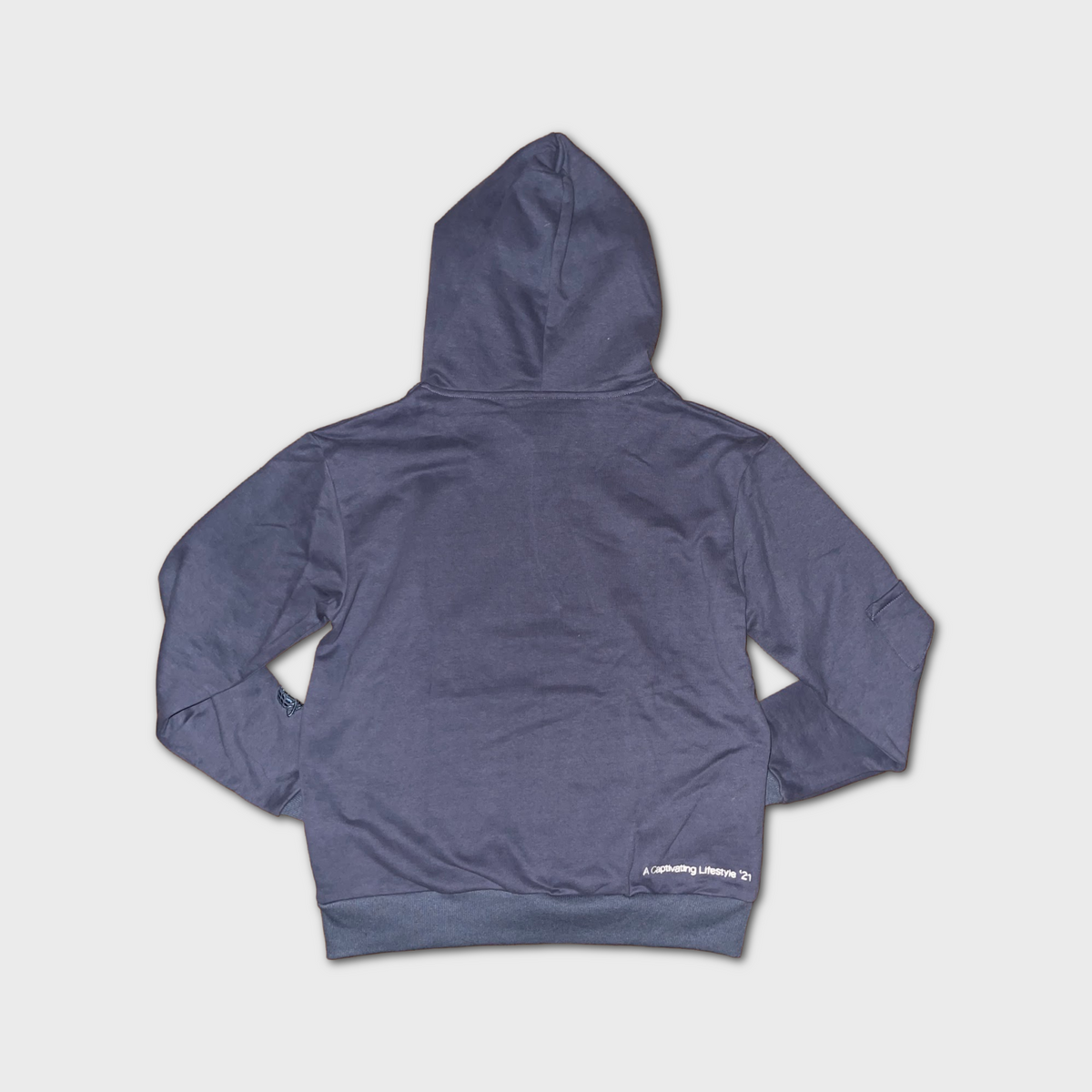 Pigeon 2025 blue hoodie