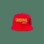 Load image into Gallery viewer, “Más God Aura” Cardinal Alumni Cap
